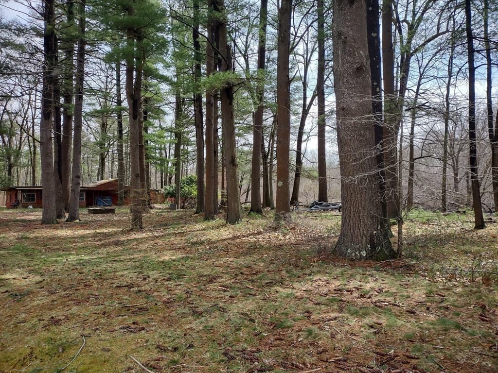 128 Kimball Rd. photo 4