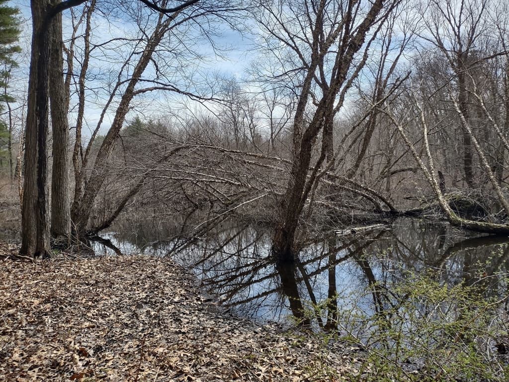 128 Kimball Rd. photo 3