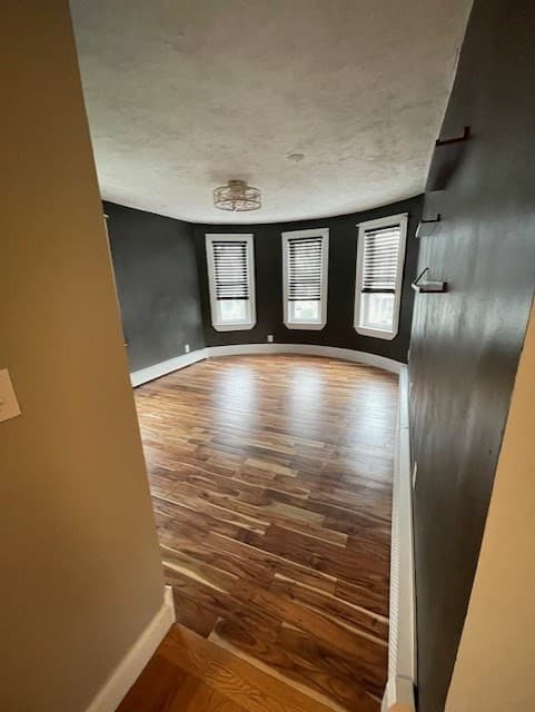 47 Chestnut Street #2 photo 5