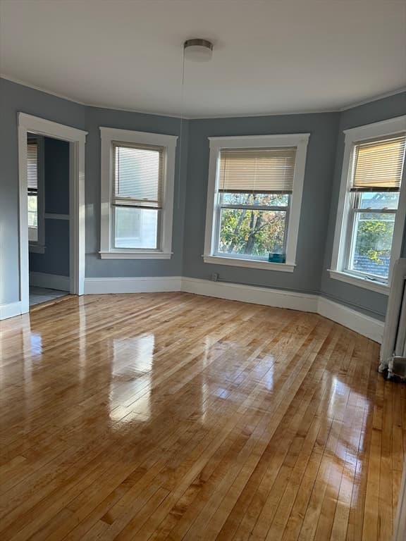 47 Longwood Ave #2 photo 3