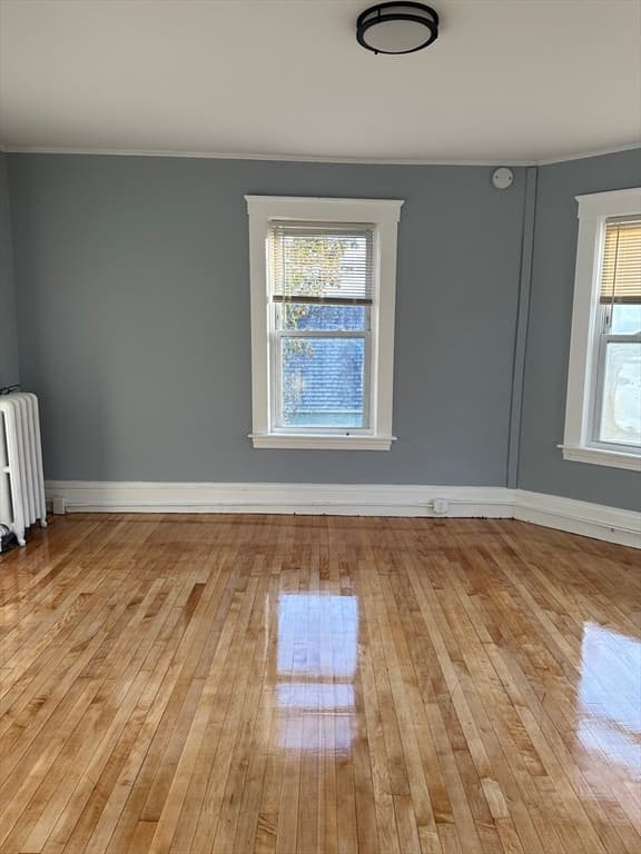 47 Longwood Ave #2 photo 5