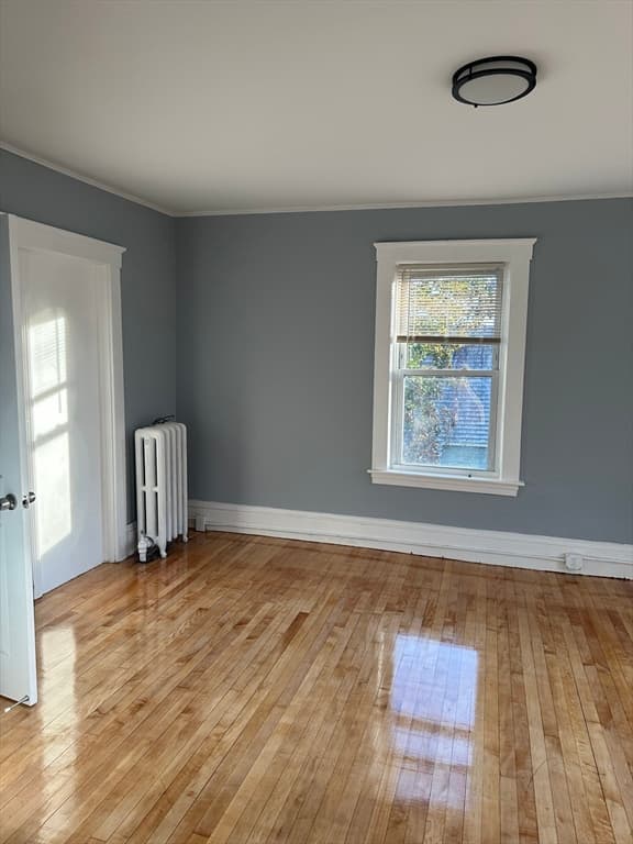 47 Longwood Ave #2 photo 4
