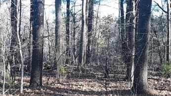 76 River photo 2