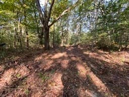 75 Salisbury St., Lot 12 photo 4
