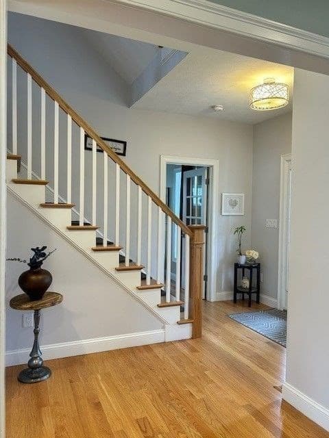 11 Authelet Way photo 5