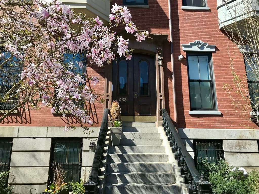 463 Massachusetts Ave #5