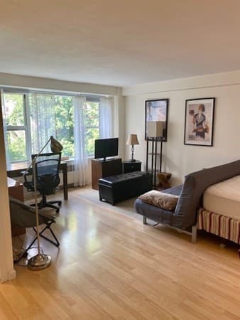 145 Pinckney Furnished #416