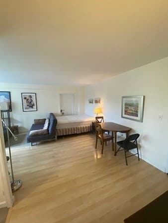 145 Pinckney Furnished #416 photo 4