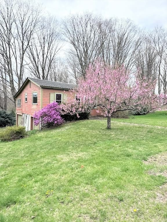 311 South Street photo 3