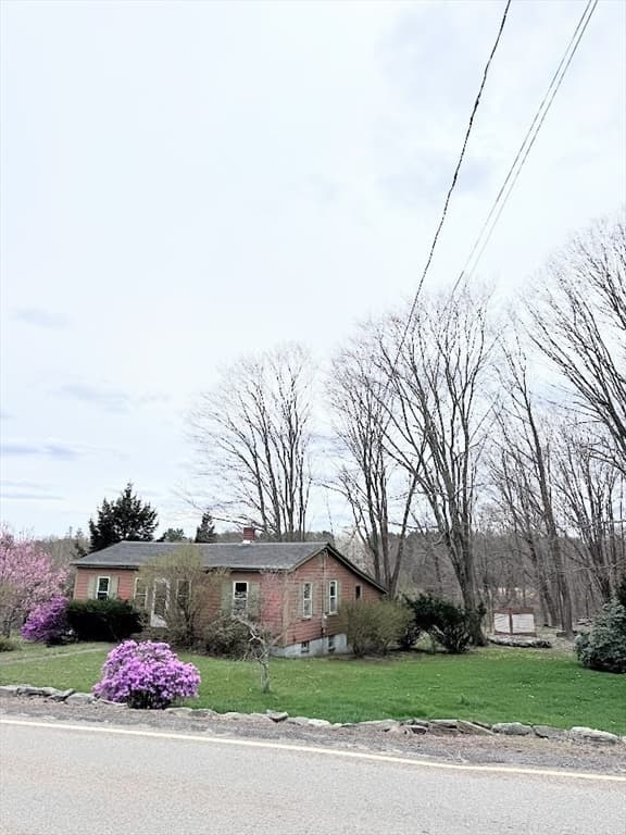 311 South Street photo 5