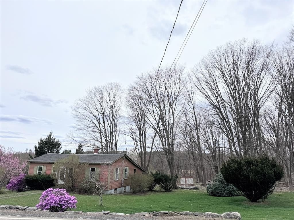 311 South Street photo 4