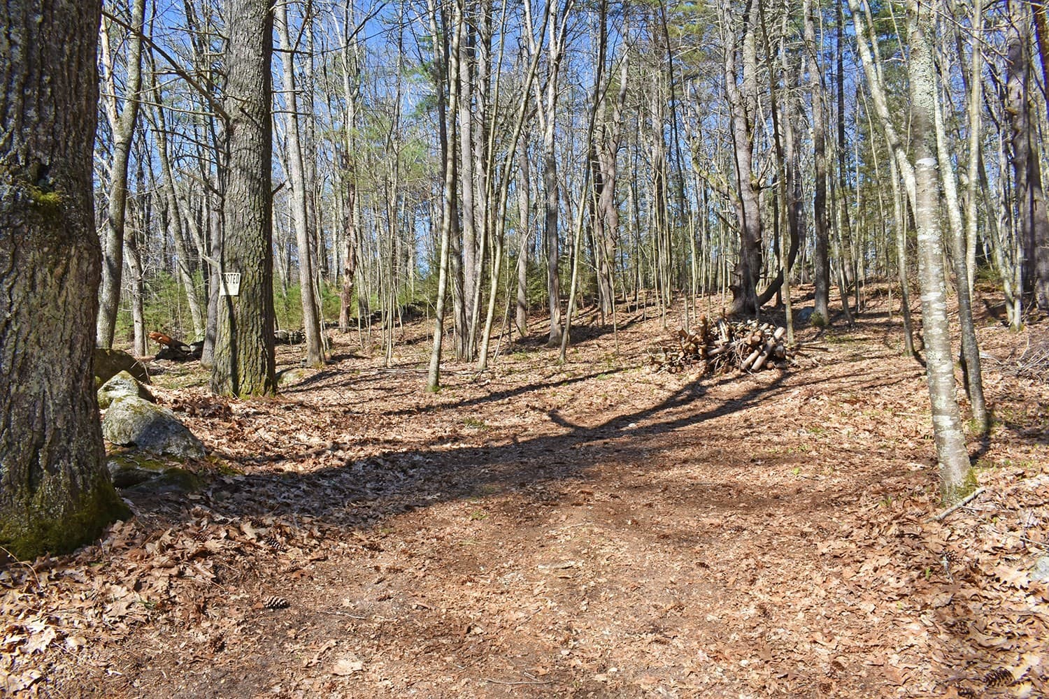 70 Carter Pond Rd photo 2