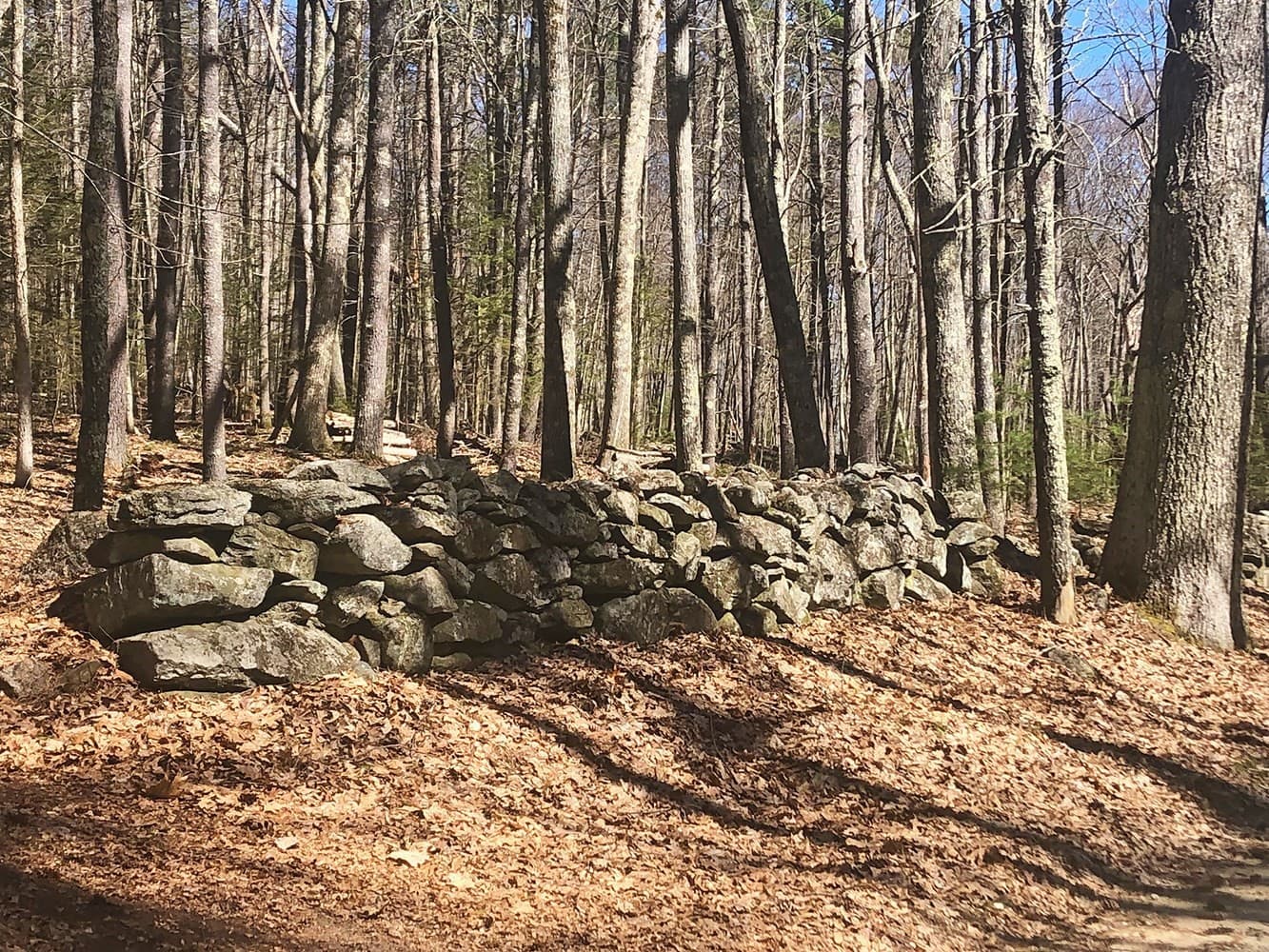 70 Carter Pond Rd photo 3