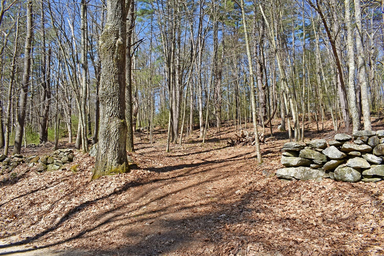 70 Carter Pond Rd