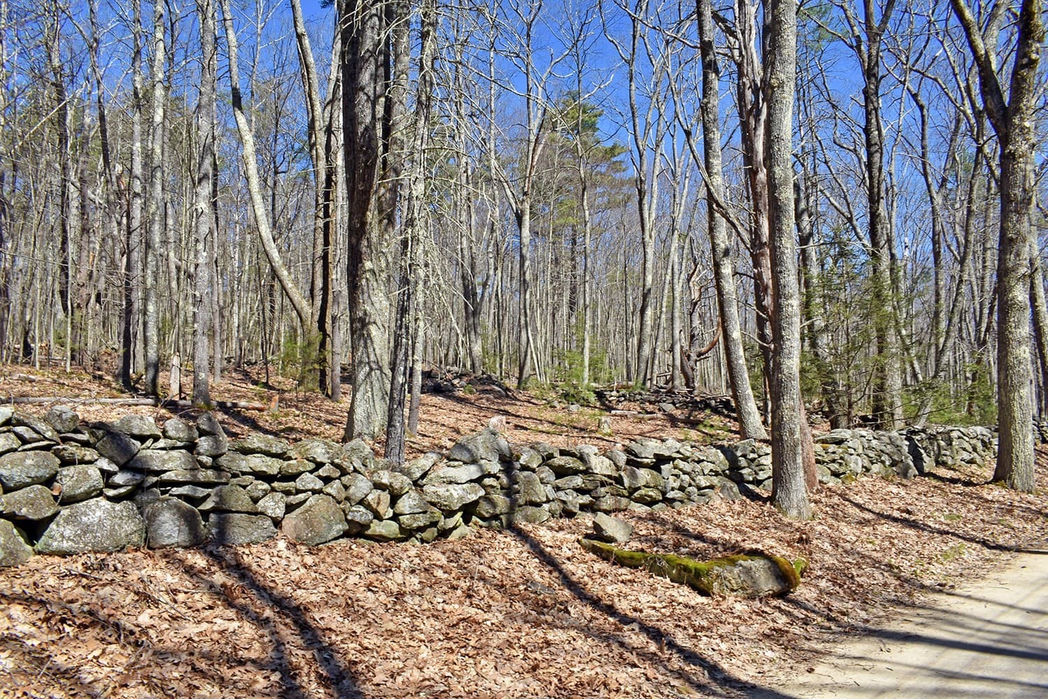 70 Carter Pond Rd photo 4