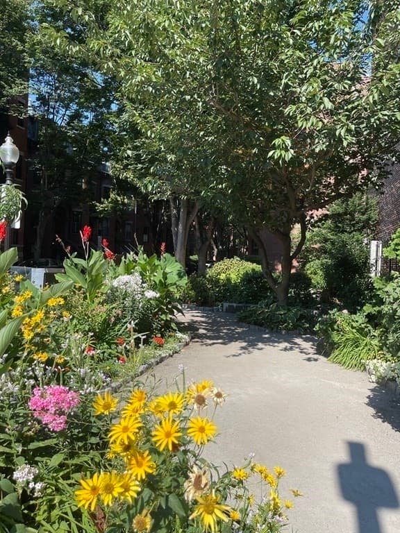 556 Columbus Avenue #1