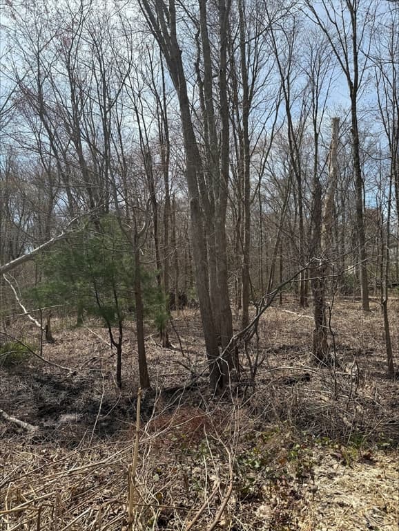 0 Bay Road - Lot 5 photo 2