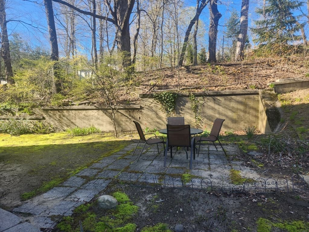 15 Arlington Street #1 photo 2