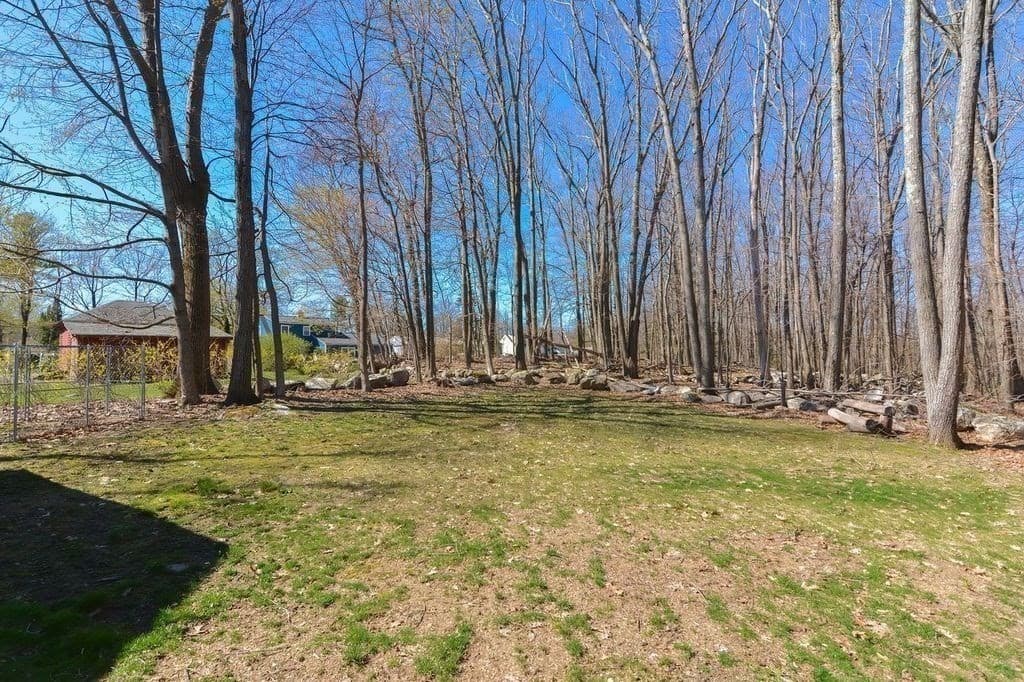 121 Paxton Street photo 4