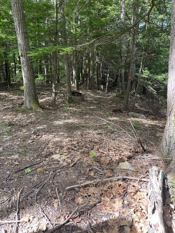 0 Rindge Tpke photo 2