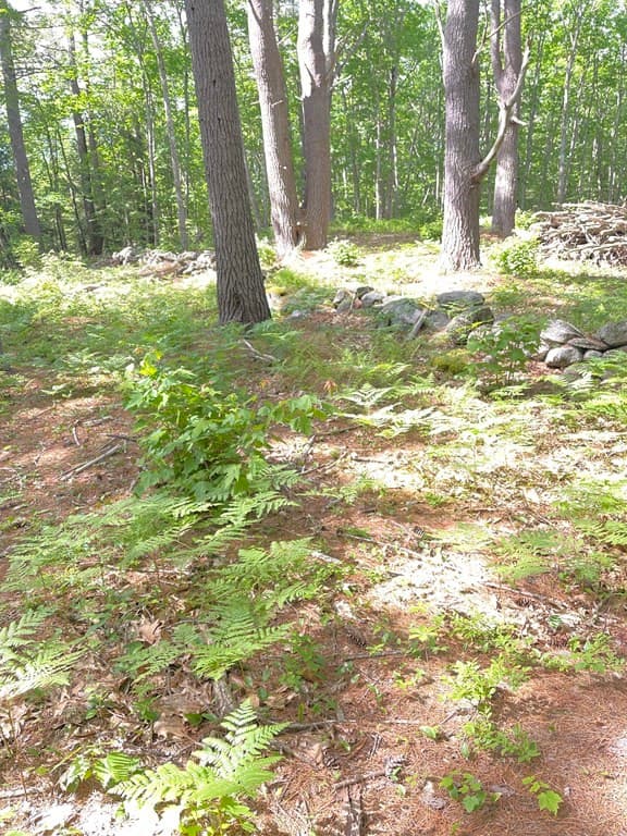 0 Rindge Tpke photo 3