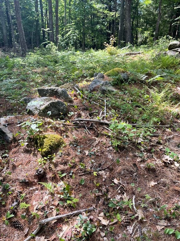 0 Rindge Tpke photo 4