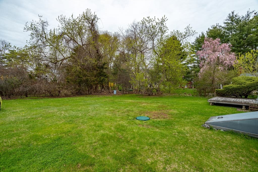 16 Ipswich Road photo 4