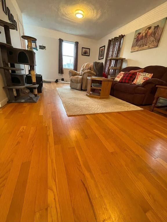 5 Ober St photo 5