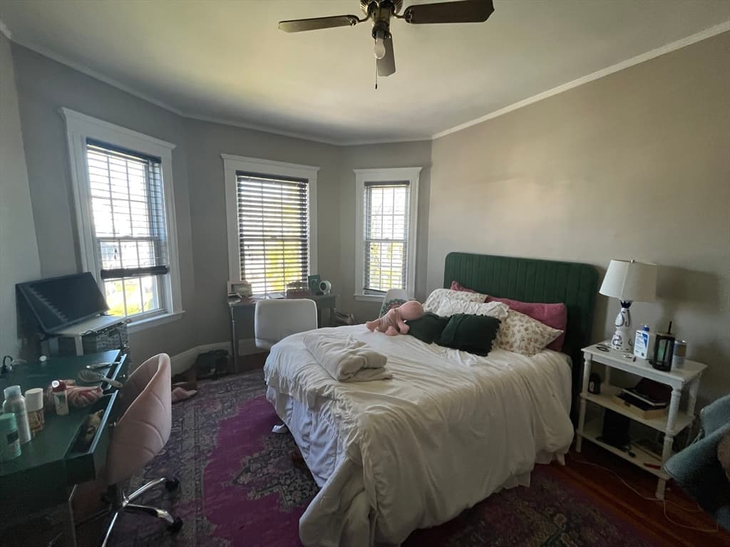 17 Chelmsford Street #3 photo 5