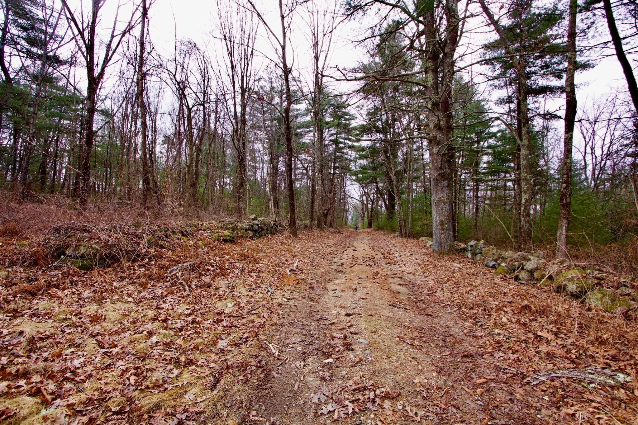 0 Short Rd photo 5