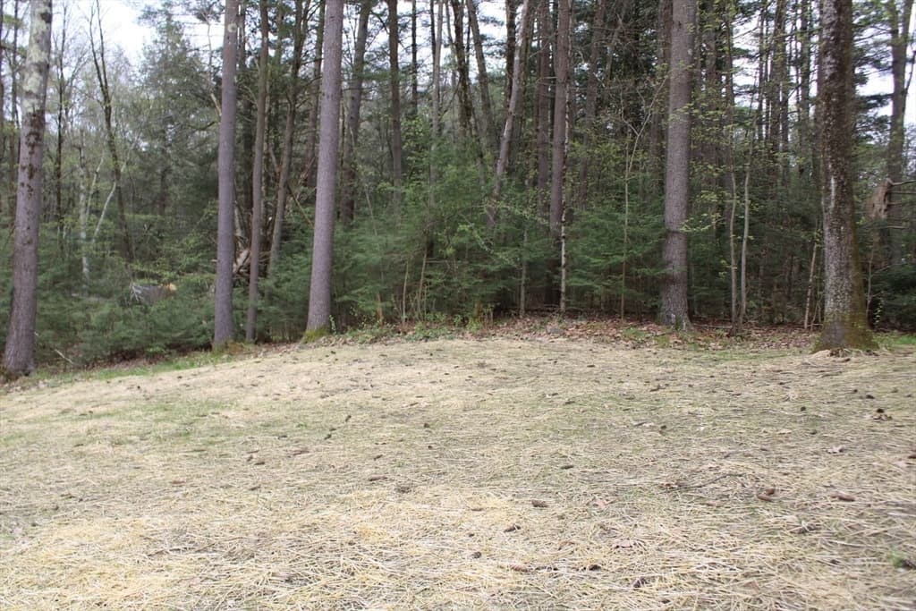 19 Ledgewood Dr photo 5