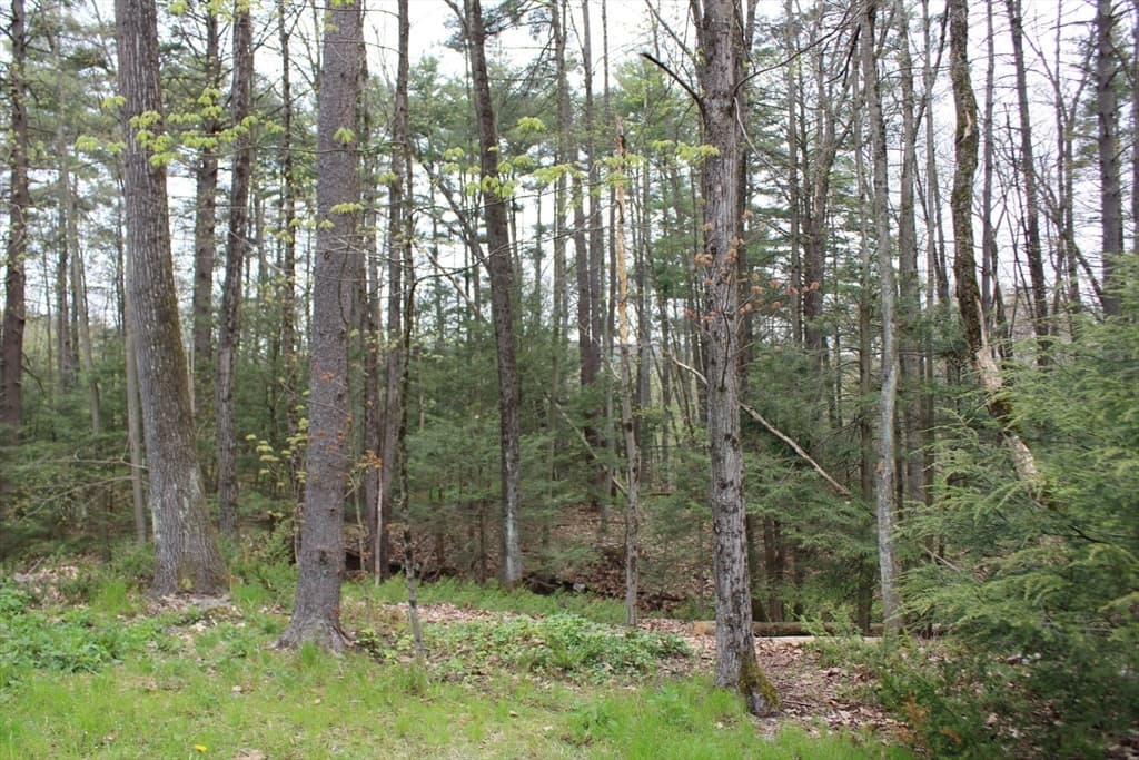 19 Ledgewood Dr photo 4