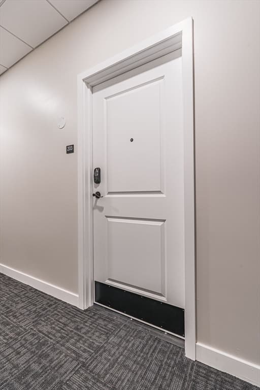 163 Chestnut #C201 photo 4