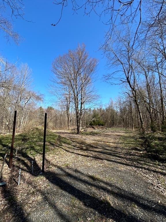 230 Hamilton Rd photo 2
