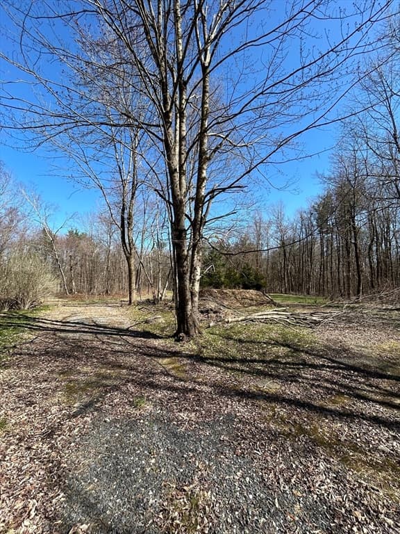230 Hamilton Rd