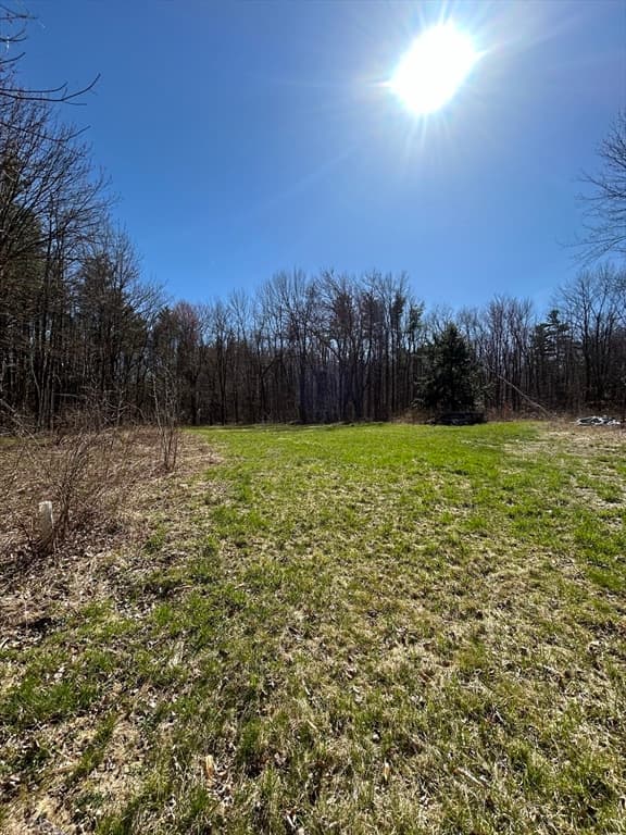 230 Hamilton Rd photo 5