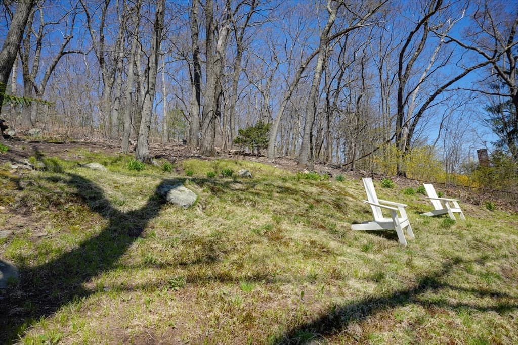 48 Alpine Street #2 photo 2