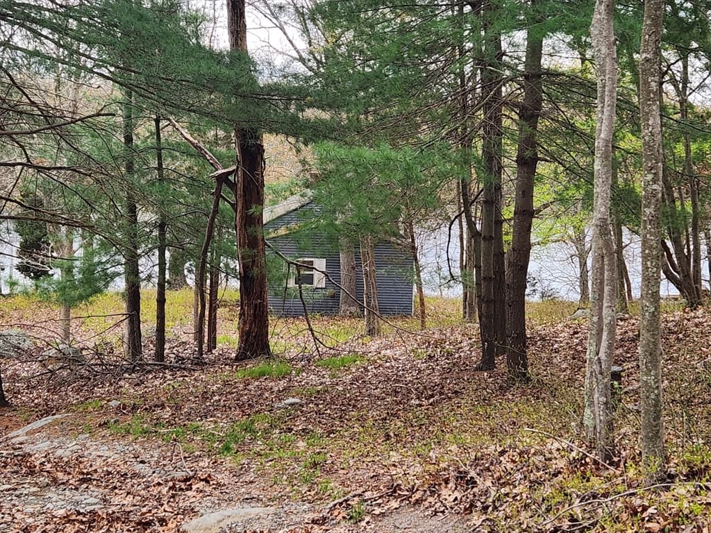 13 Chester Ave photo 2