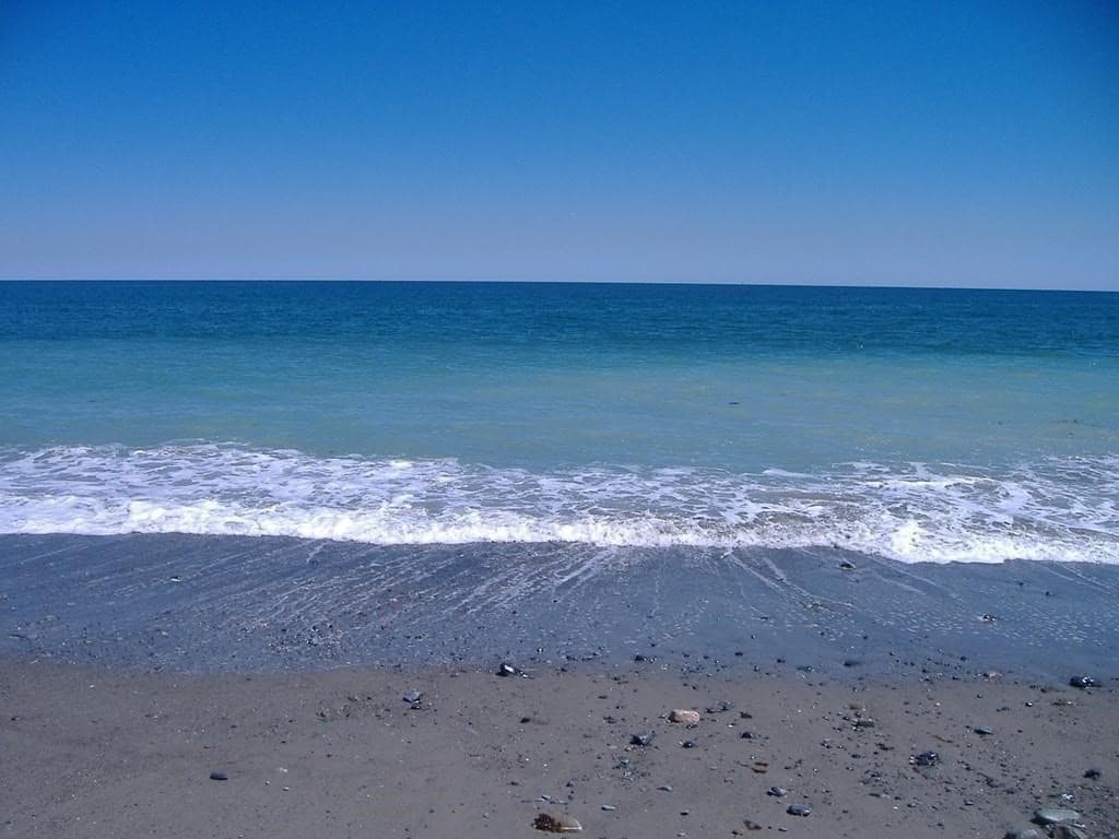 97A Beach Avenue August #2 photo 3