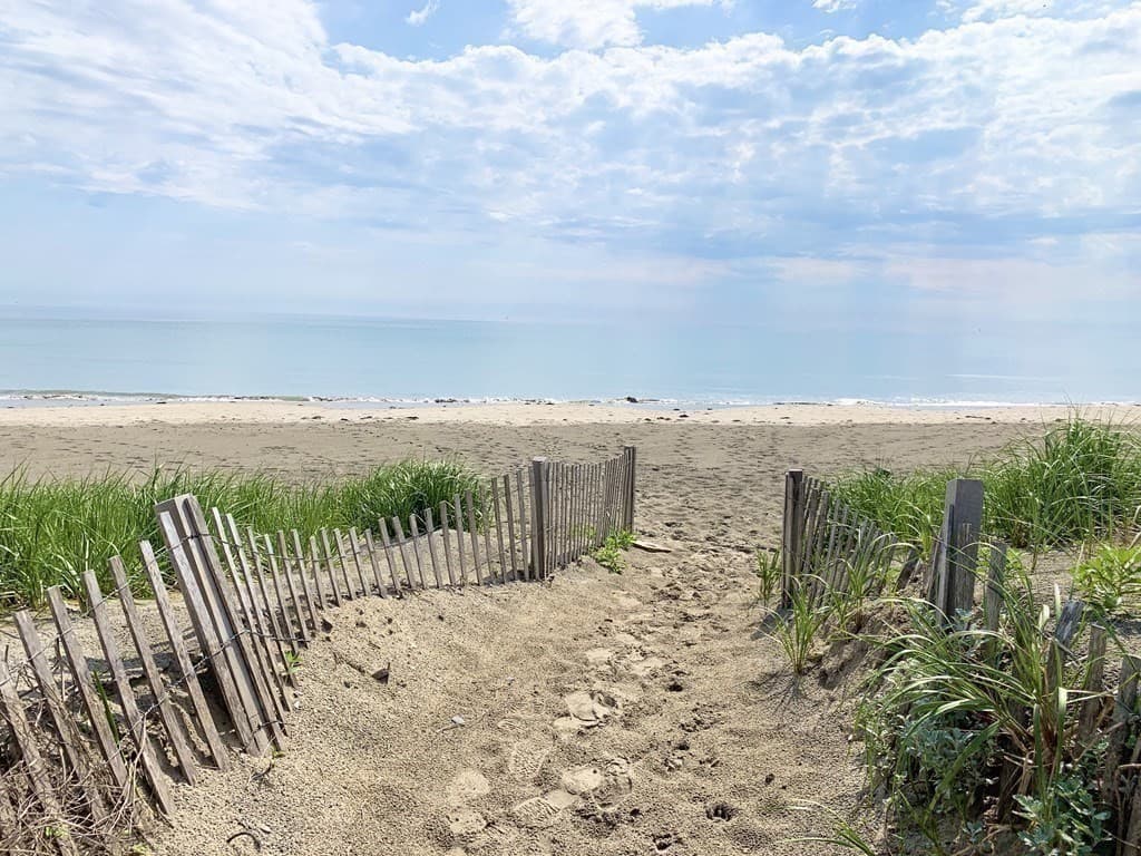97A Beach Avenue August #2 photo 4