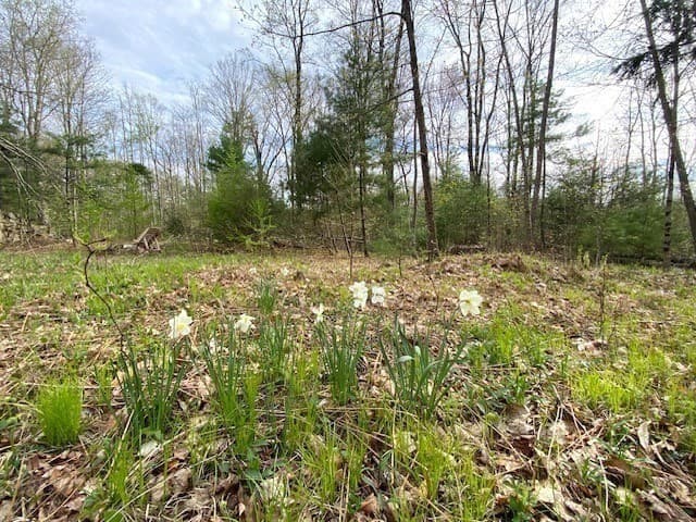 27 New Athol Rd Lot 408/77-8 photo 3