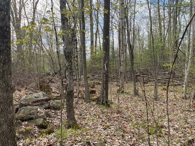 27 New Athol Rd Lot 408/77-6 photo 2