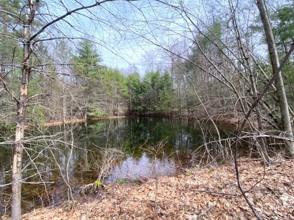 27 New Athol Rd Lot 408/77-7 photo 2