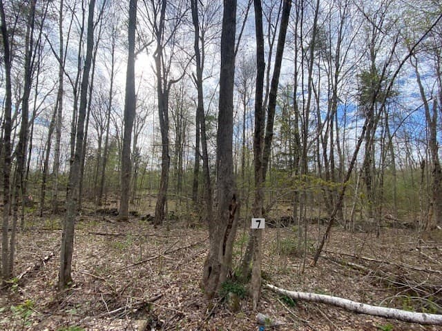27 New Athol Rd Lot 408/77-7 photo 3