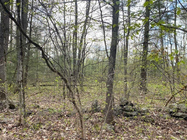 27 New Athol Rd Lot 408/77-7 photo 4