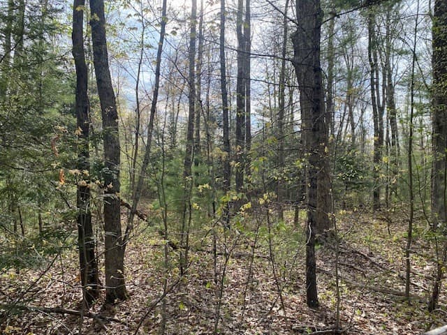27 New Athol Rd Lot 408/77-9 photo 2