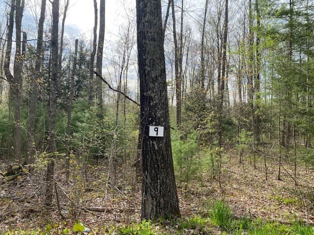 27 New Athol Rd Lot 408/77-9
