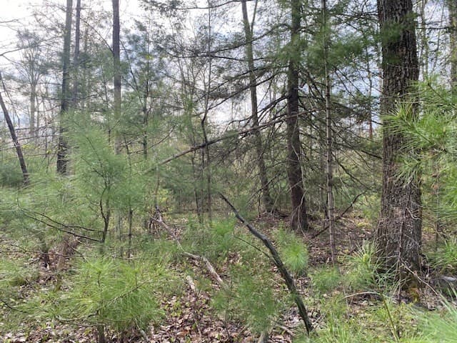 27 New Athol Rd Lot T408/77-10 photo 2