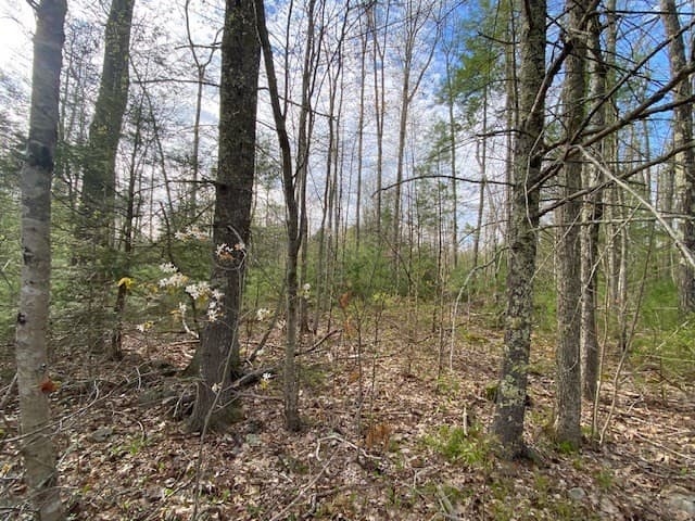 27 New Athol Rd Lot 408/77-11 photo 2