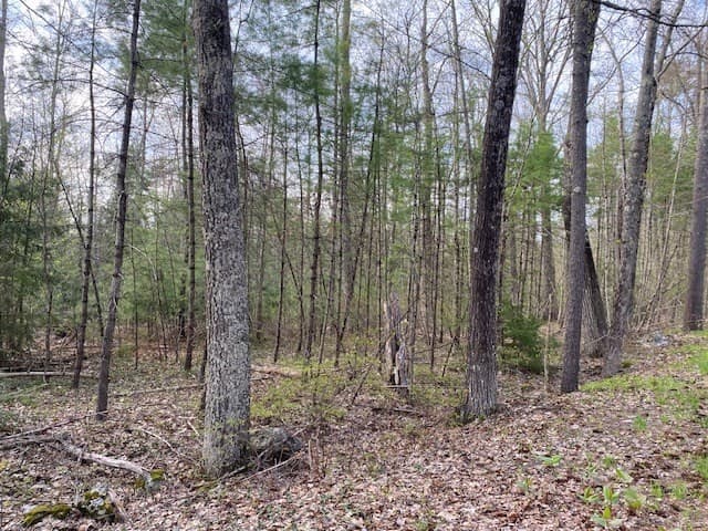27 New Athol Rd Lot 408/77-11 photo 3